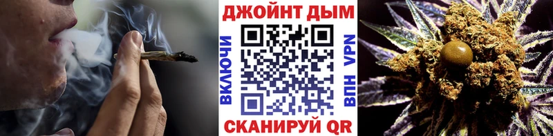 Каннабис планчик  Славск 
